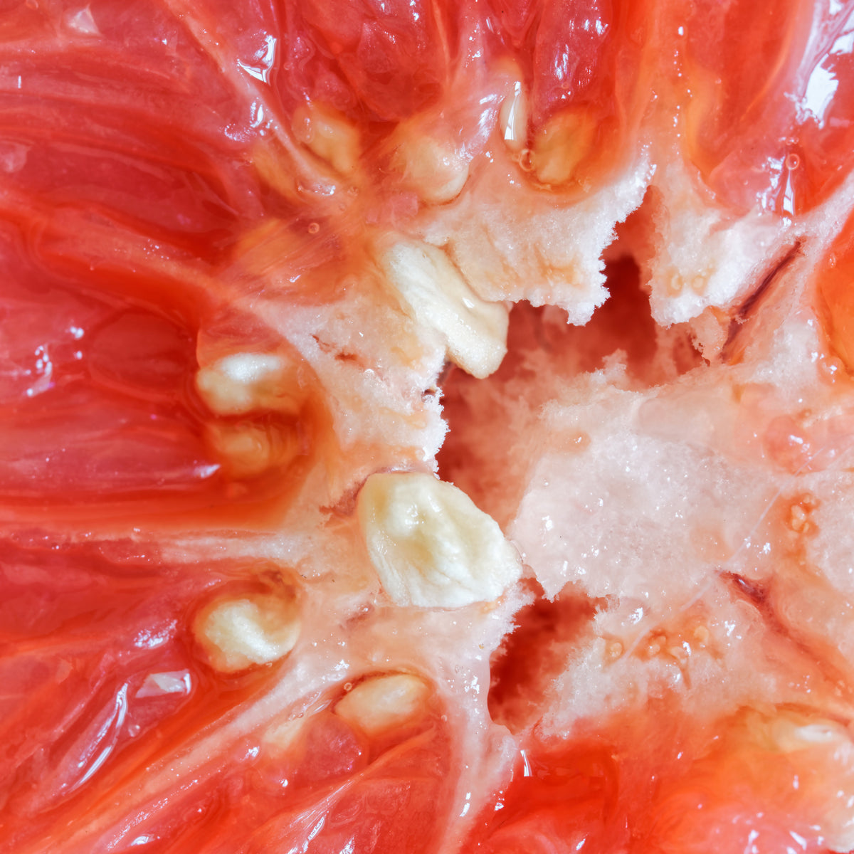 Gotas de extracto de semilla de pomelo Mannavita • 100 ml