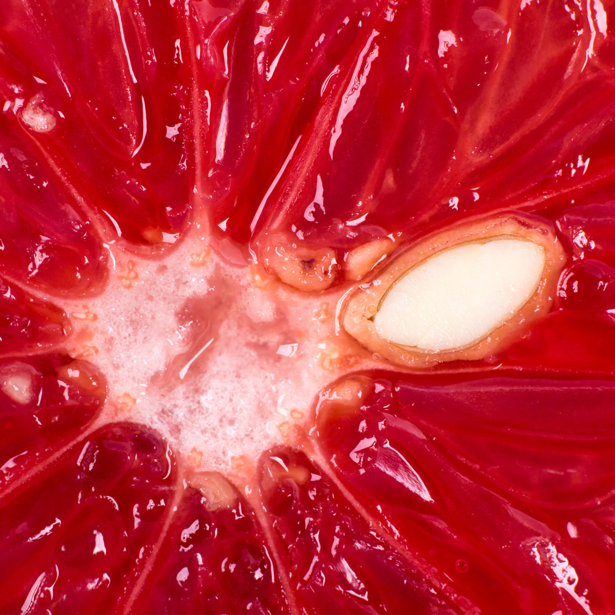 Gotas de extracto de semilla de pomelo Mannavita • 100 ml