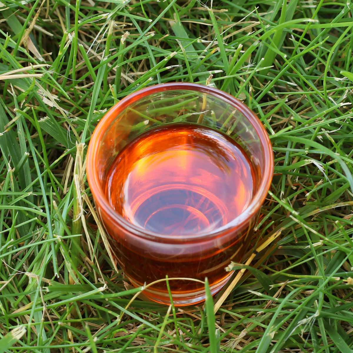 Aceite de semilla de espino amarillo húngaro prensado en frío Mannavita • 40 ml