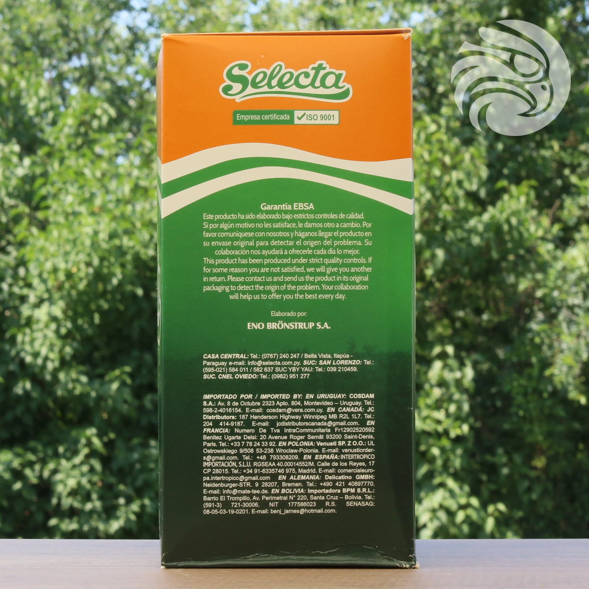 Té de yerba mate Selecta • Boldo + menta • 500 g