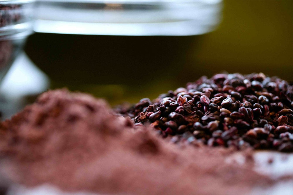 Viniseera Polvo de semilla de uva • 150 g