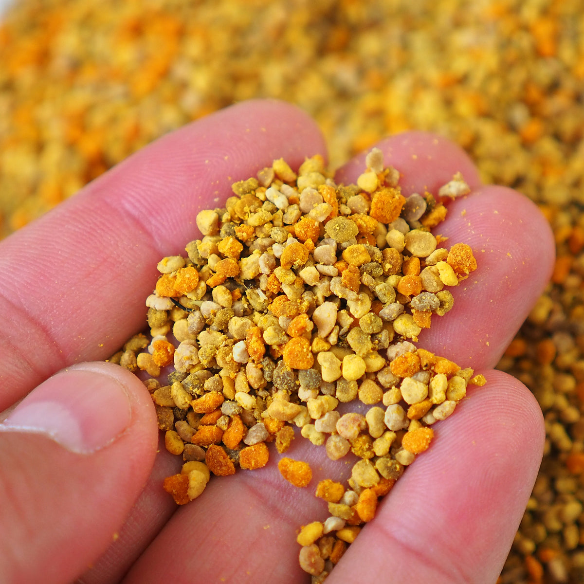 Mannavita polen de abeja multifloral seco • 200 g