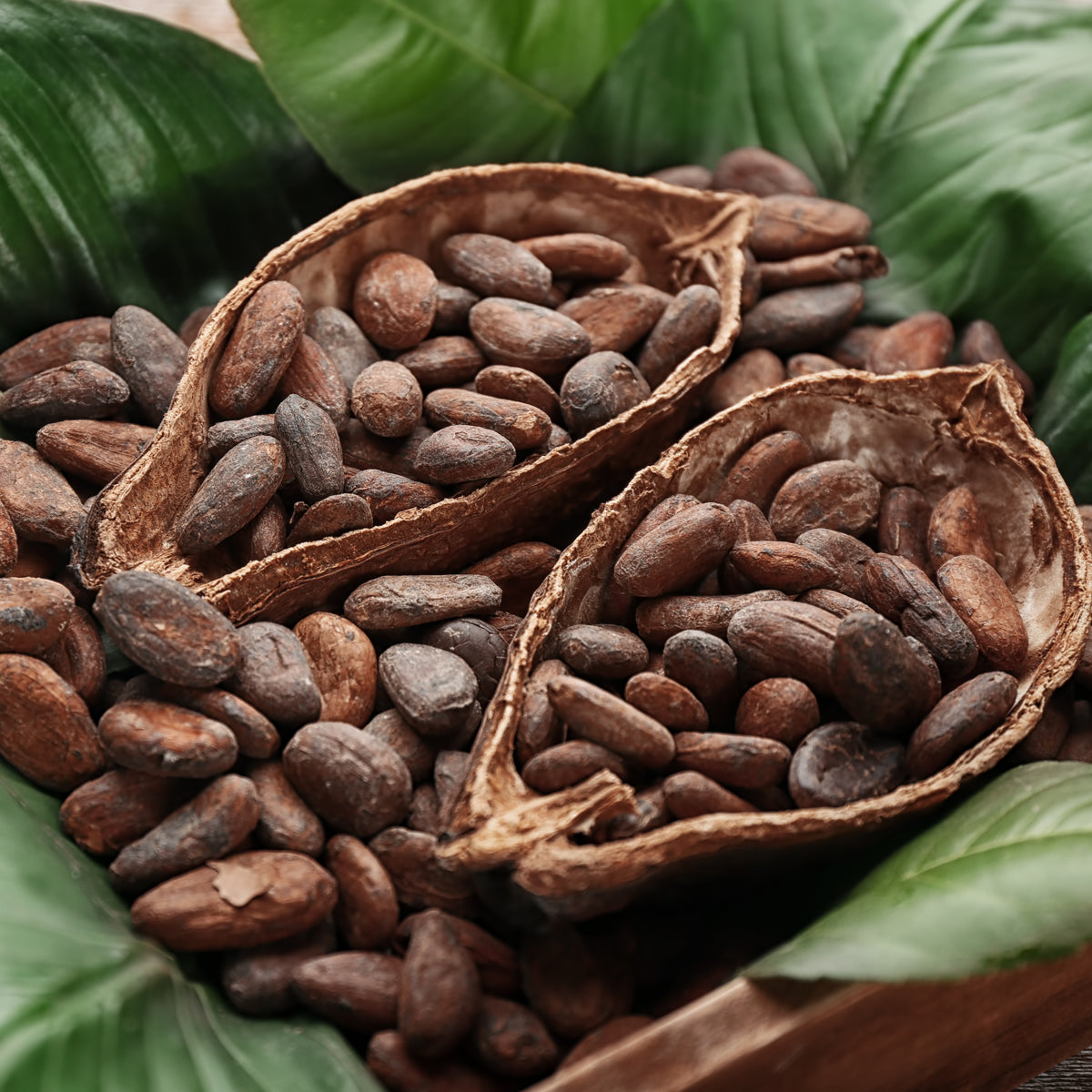 Miel de cacao crudo Bilbo • 250 g
