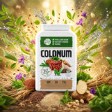COLONUM • Cápsulas de limpieza de colon y restauración intestinal • 100 cápsulas
