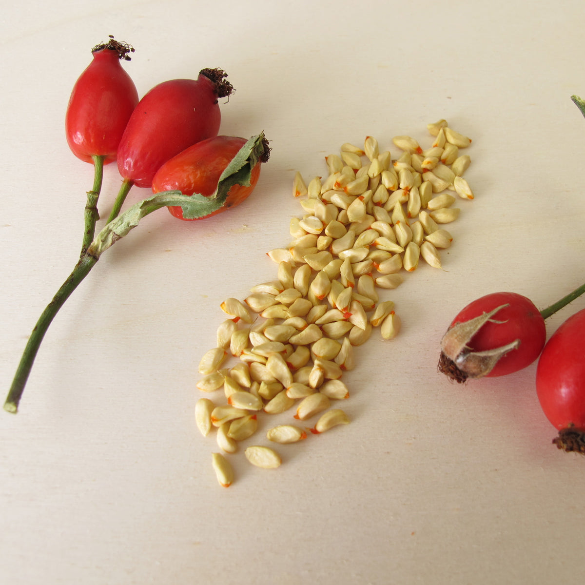 Aceite de semilla de rosa mosqueta húngaro prensado en frío Mannavita • 40 ml