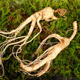 ENDOQIN mano de obra forte • 90 cápsulas