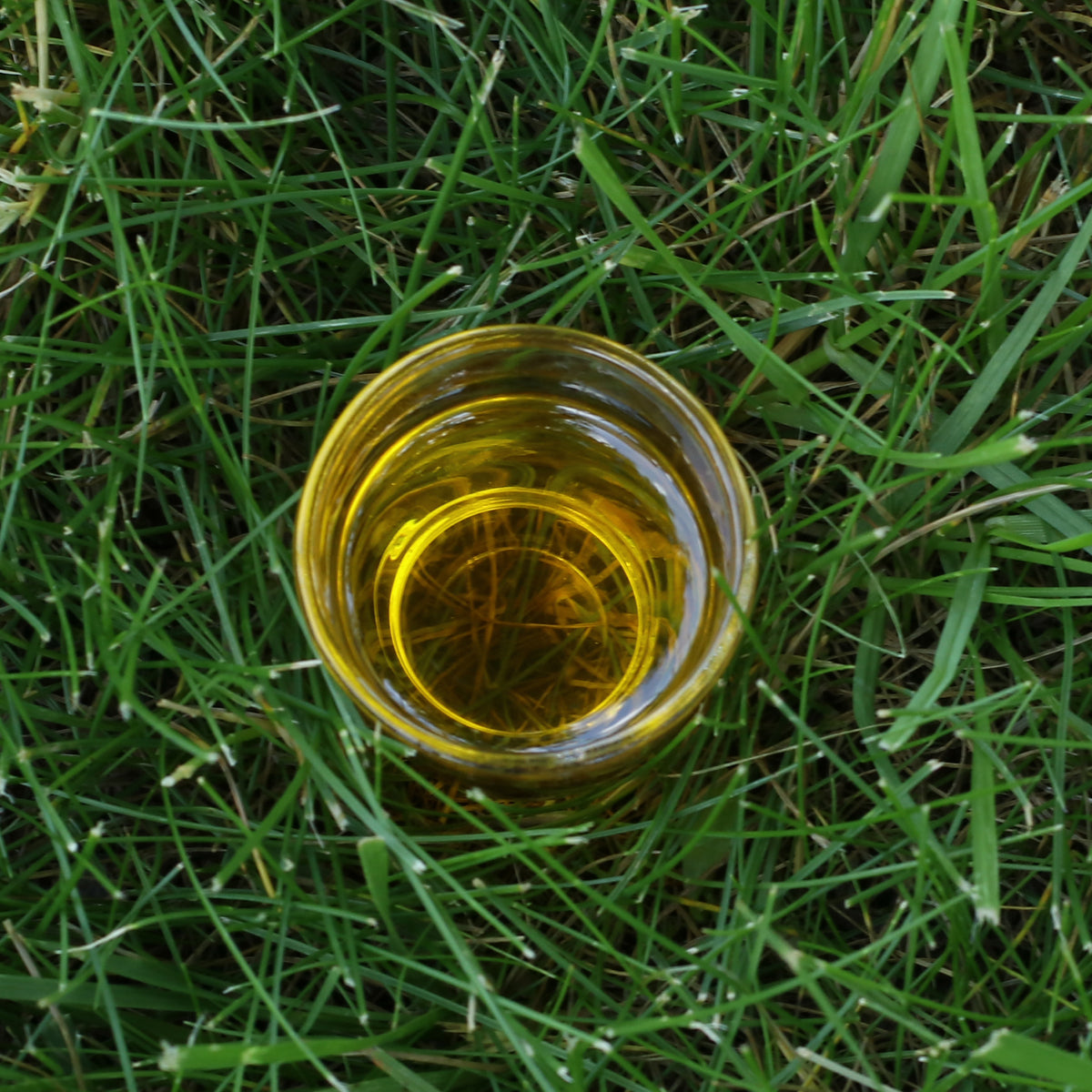 Aceite de linaza húngaro prensado en frío Mannavita • 250 ml