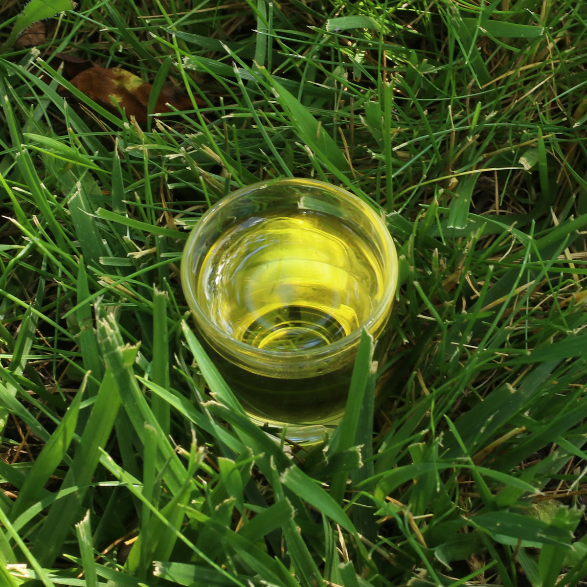 Aceite de semilla de amapola húngaro prensado en frío Mannavita • 250 ml