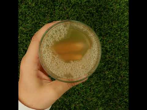 Mannavita Aloe vera 100% jugo puro prensado • 1000 ml