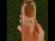 Mannavita • Vinagre de Manzana sin filtrar, con doble fermentación • 500 ml