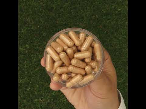 GINK-Q10 • Complejo de Coenzima Q10 + Ginkgo Biloba • 60 cápsulas