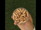 GINK-Q10 • Complejo de Coenzima Q10 + Ginkgo Biloba • 60 cápsulas