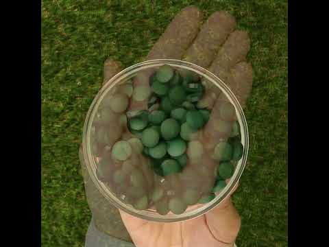 Mannavita • Tabletas de Spirulina 500 mg • 180 uds.