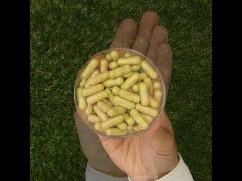 ENZIMA+  • Complejo de enzimas digestivas con Betain HCL • 90 cápsulas