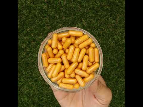 KURKUNEX complejo de extracto de cúrcuma • 90 cápsulas