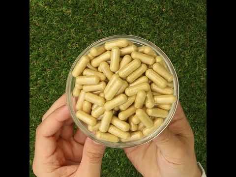 COLONUM • Cápsulas de limpieza de colon y restauración intestinal • 100 cápsulas