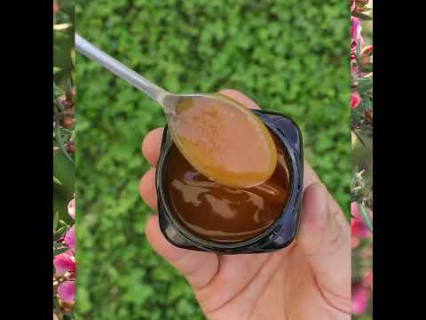 Melora Miel de Manuka 700+ MGO™ UMF 18 • 250g