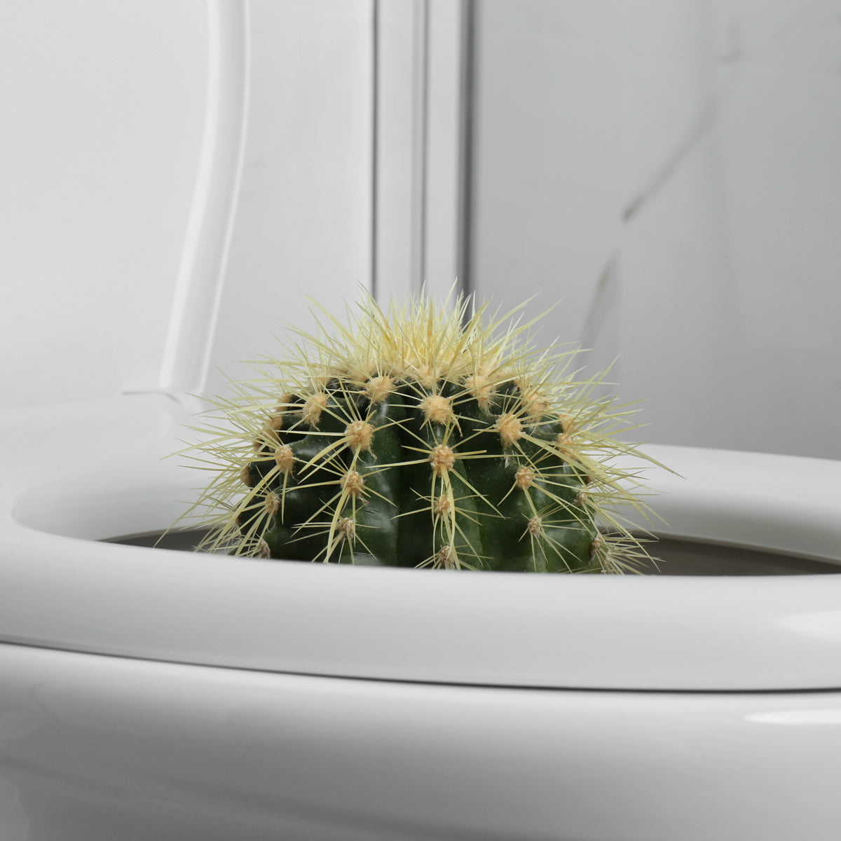 Crema Proctan para hemorroides • 50 ml