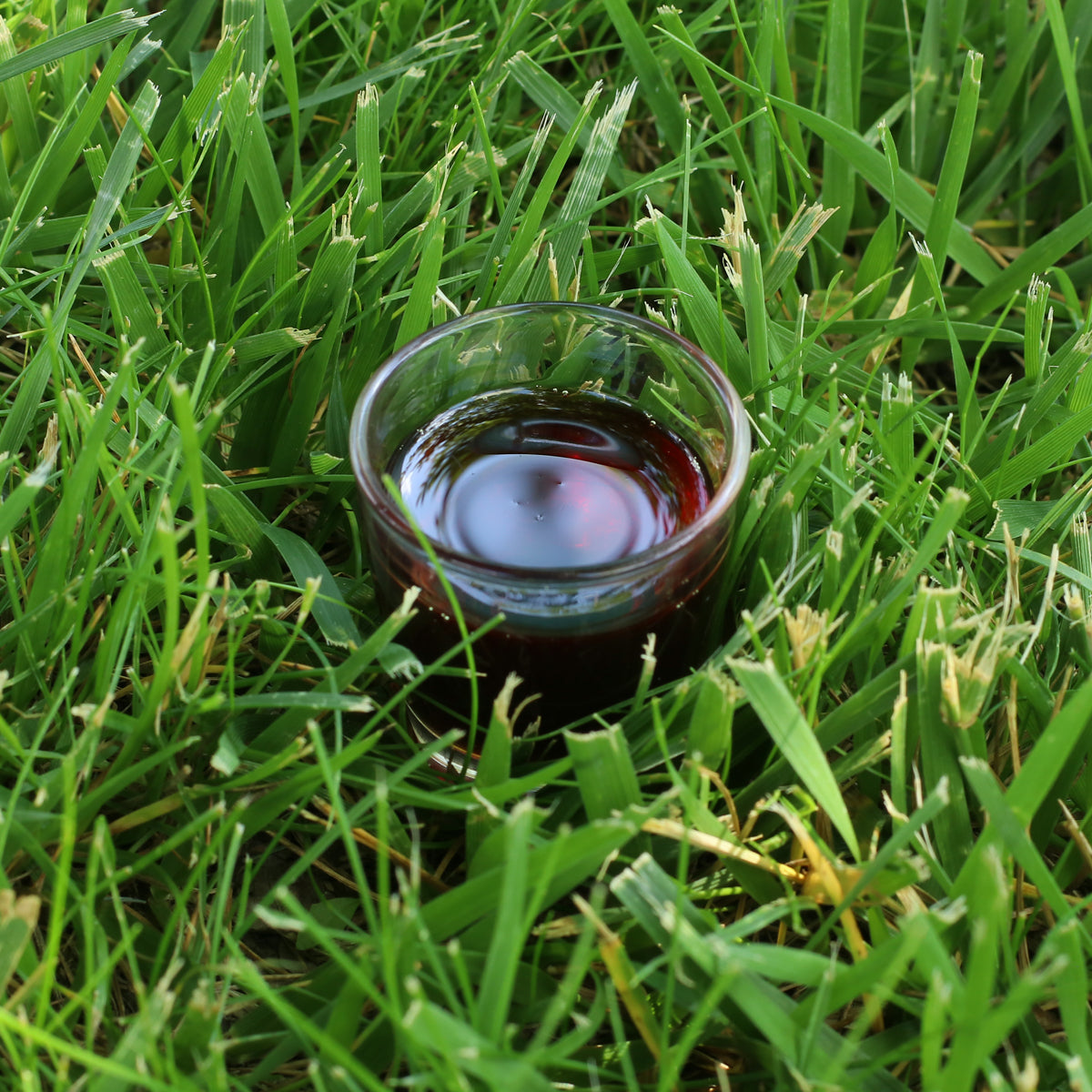 Aceite de semilla de calabaza húngaro prensado en frío Mannavita • 250 ml