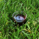 Aceite de semilla de calabaza húngaro prensado en frío Mannavita • 250 ml