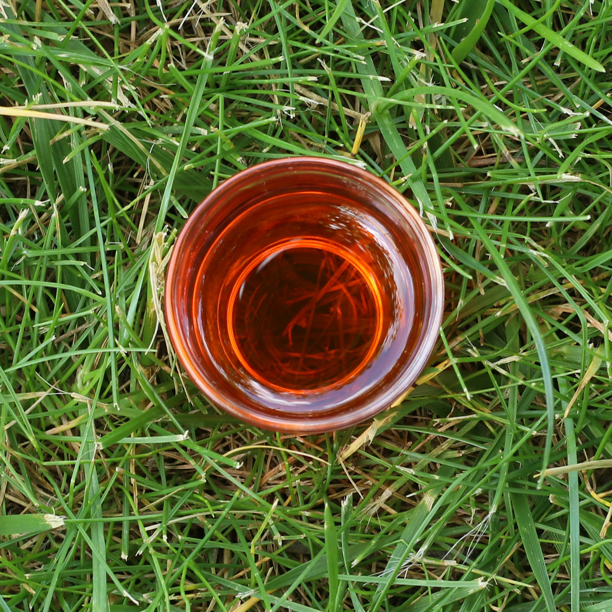 Aceite de semilla de espino amarillo húngaro prensado en frío Mannavita • 40 ml